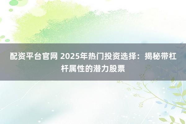 配资平台官网 2025年热门投资选择：揭秘带杠杆属性的潜力股票