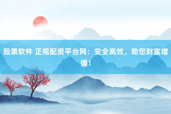 股票软件 正规配资平台网：安全高效，助您财富增值！