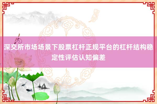 深交所市场场景下股票杠杆正规平台的杠杆结构稳定性评估认知偏差
