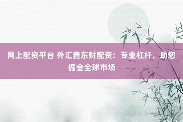 网上配资平台 外汇鑫东财配资：专业杠杆，助您掘金全球市场