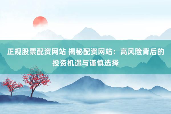 正规股票配资网站 揭秘配资网站：高风险背后的投资机遇与谨慎选择